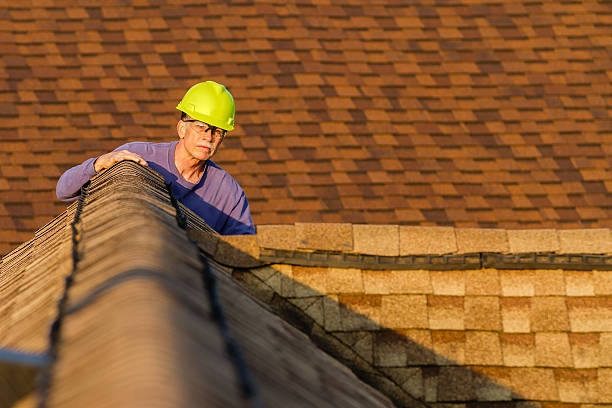 Best Roof Gutter Cleaning  in Harrisville, WV